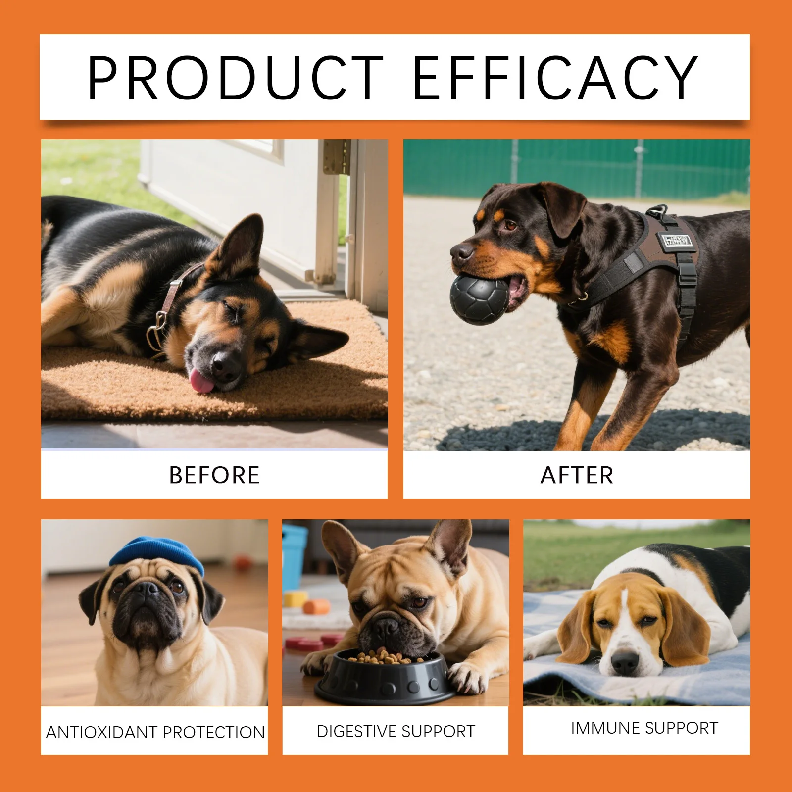 Dog Herbal Drops - Irresistibly Savory Chicken Flavor for Ultimate Soothing Comfort & Gentle, Holistic Herbal Wellness Care
