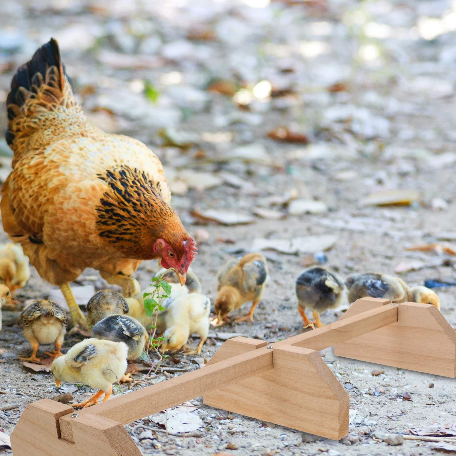 Hühnerstange aus Holz, Naturholz, Roosting Bar für Hühner, Hühner, Vögel, Innenstall, Verwendung von Bauernhaus-Küken, stehend, Heimtierbedarf