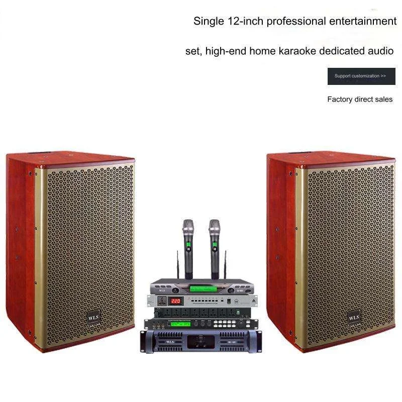 2024 New Single 12-Inch Professional Audio KTV Wedding Conference Room Stage Speakers Set Large Bar Audio Manufacturers