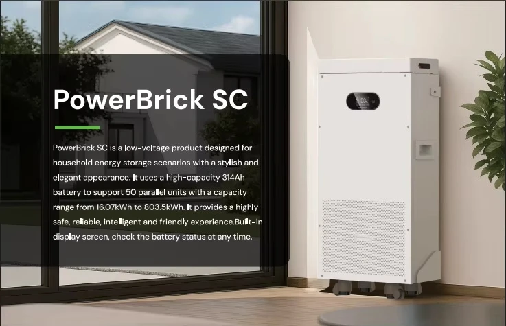 Dyness  New Update PowerBrick SC IP20 LiFePO4 Power Pack Industrial-Grade 6000Cycle Life for All-Weather PV Applications