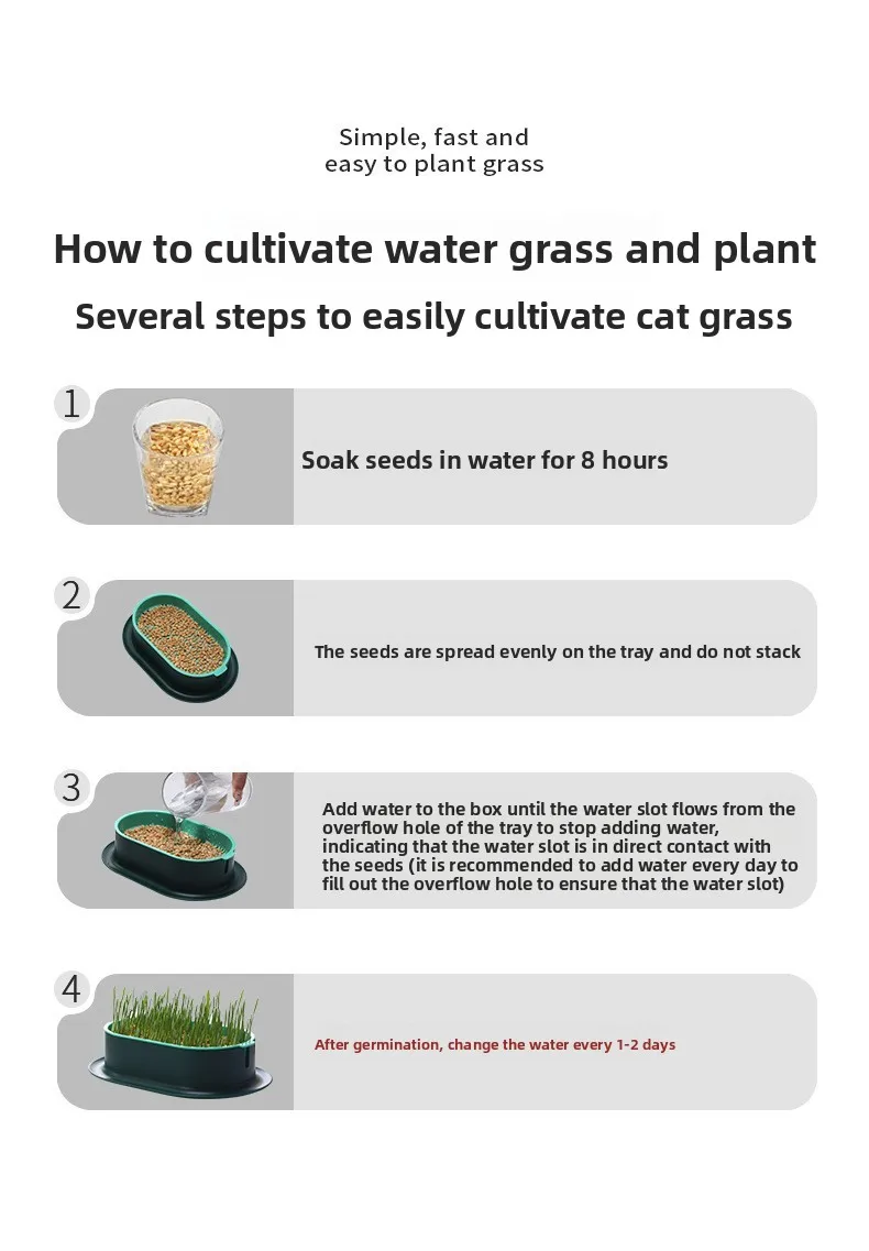Heimtierbedarf, Katzensnacks, Katzenpflanzung, Hydrokulturbox, Katzengras, Topf, hydroponische Katzengrasbox – Detail 4
