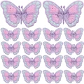 PE8028CT
