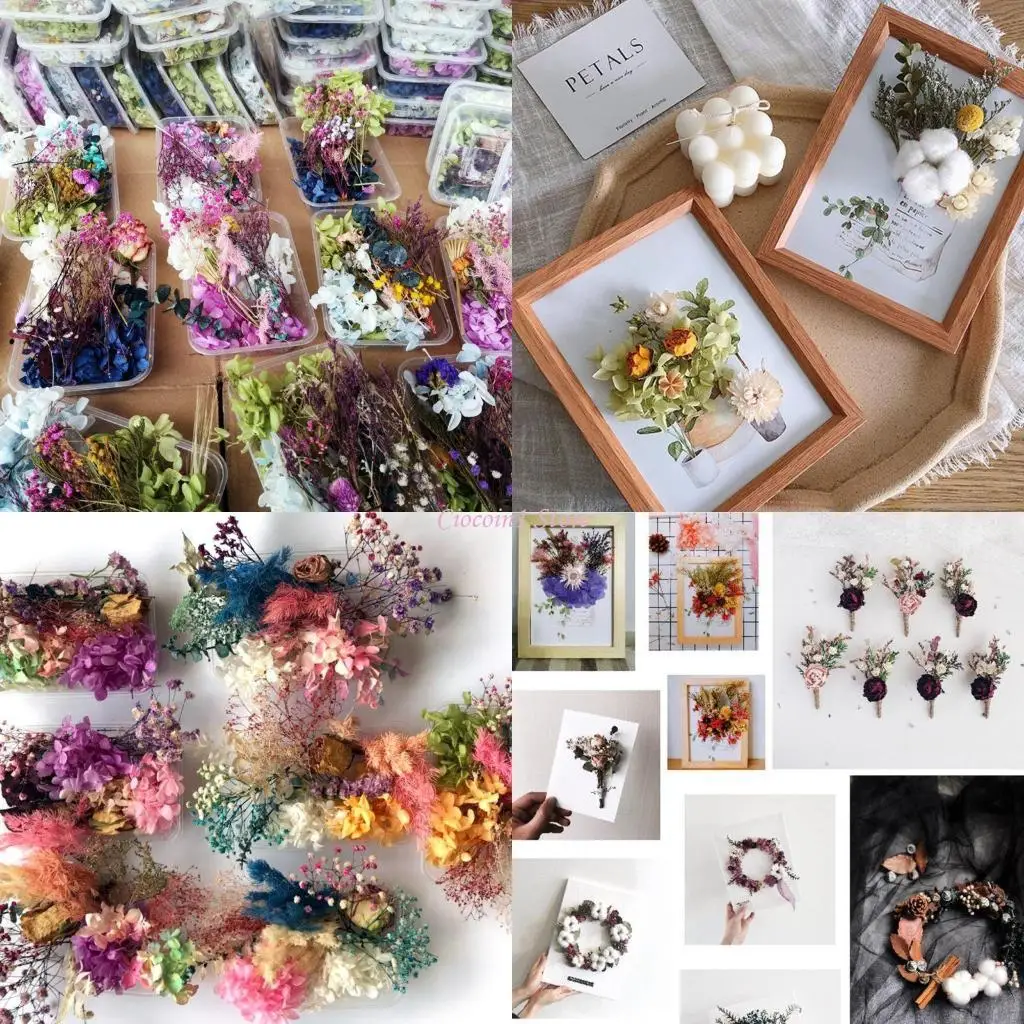 

Y1UB 1 коробка настоящая смесь сухофрагенные цветы для украшений для смолы сухие растения нажатые цветы DIY