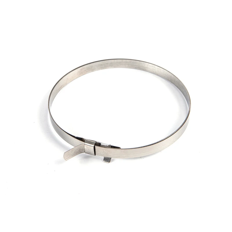 4 قطعة/الحزمة المحور CV المشتركة التمهيد كليب عدة الفولاذ المقاوم للصدأ رباط للكابل عمود الإدارة الاحتفاظ كليب السيارات تجعيد النطاقات التمهيد المشبك #5