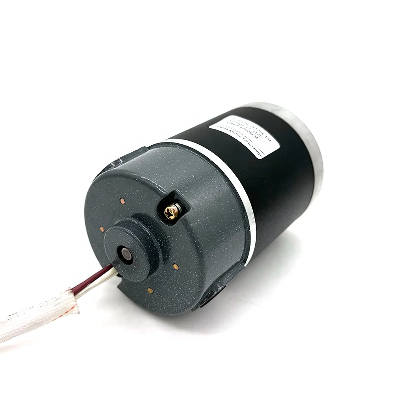 ZYT70S High Torque Permanent Magnet Waterproof Tubular DC Brush Motor for Smart Home & Home Appliance 12V-220V