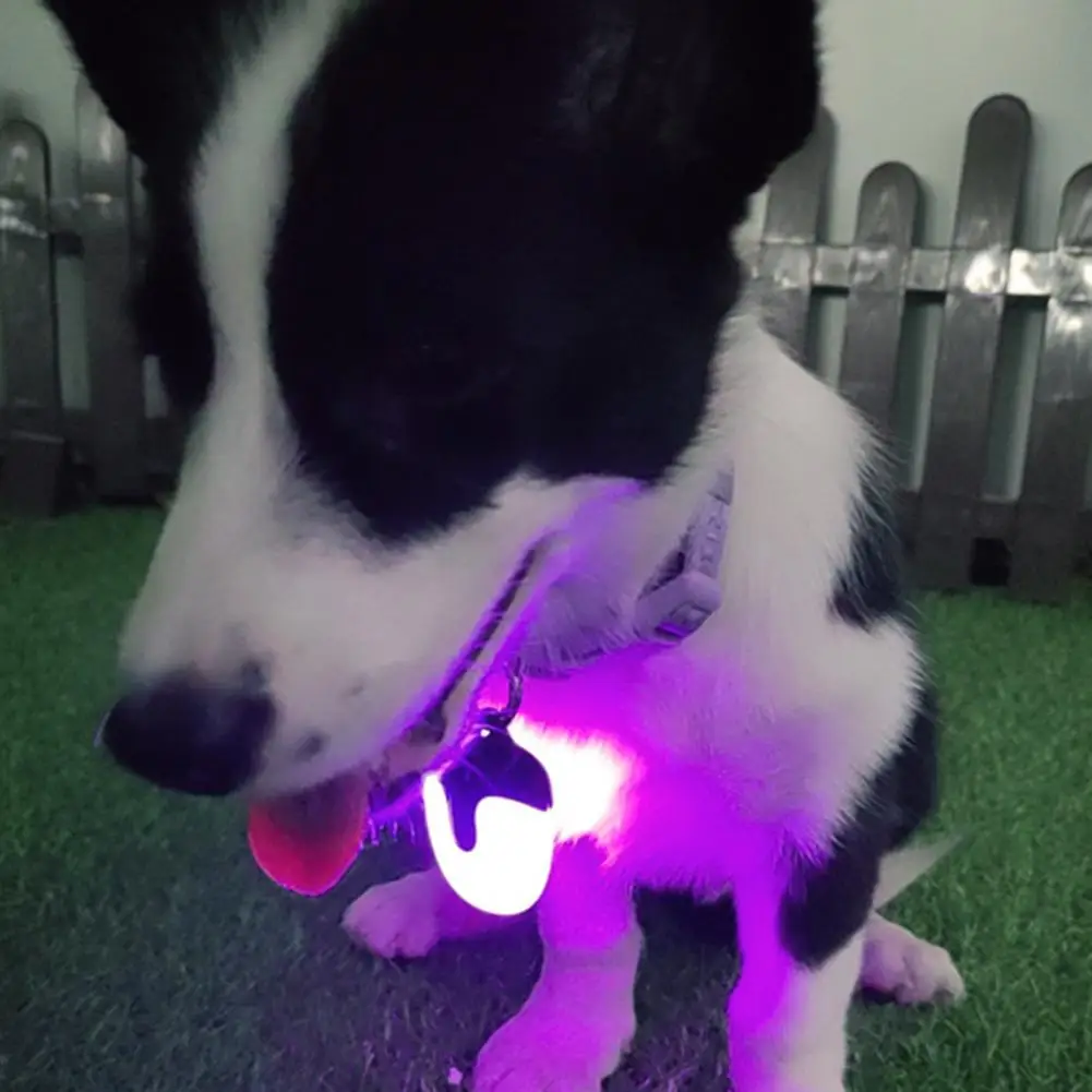 Rainproof Dog Collar Light Buckle Design Dog Collar Light Waterproof Usb Rechargeable Dog Collar Light 360 Degree for Night