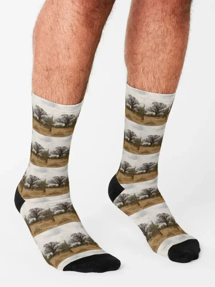 Africa, Tanzania, trees, baobab, baobab, photography, BebiCervin Socks Men's Rugby winter thermal hiking Socks Ladies Men's