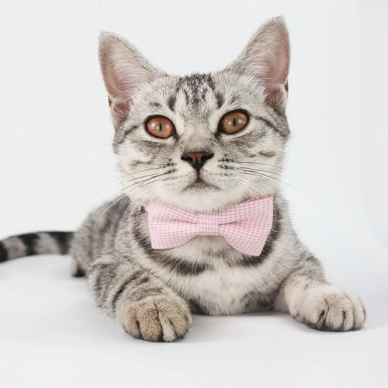 Adjustable Cat Bow Tie Collar 2