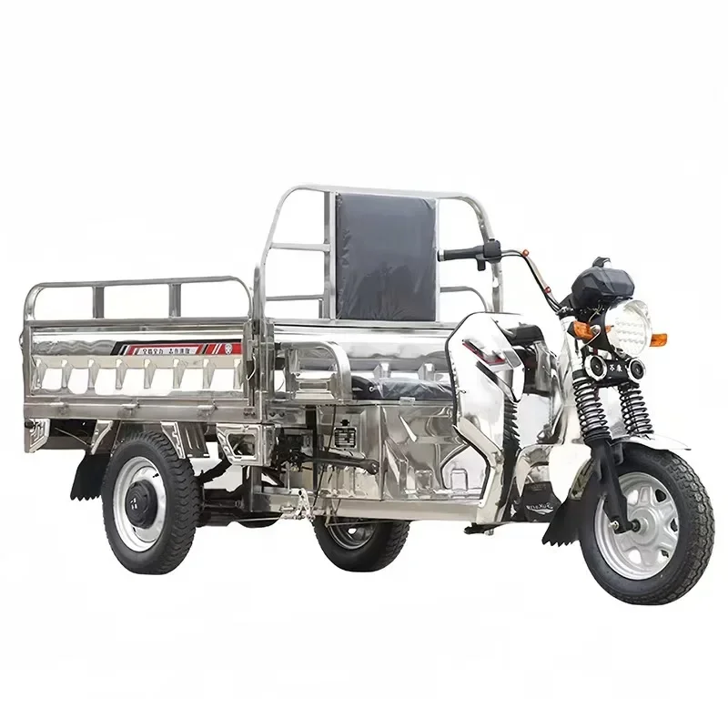 Hot Sale 1000W Digital Instrument Electric Pedicab Large Screen 3-Wheel Tricycle Differential Motor Carries Passengers 48v 60v