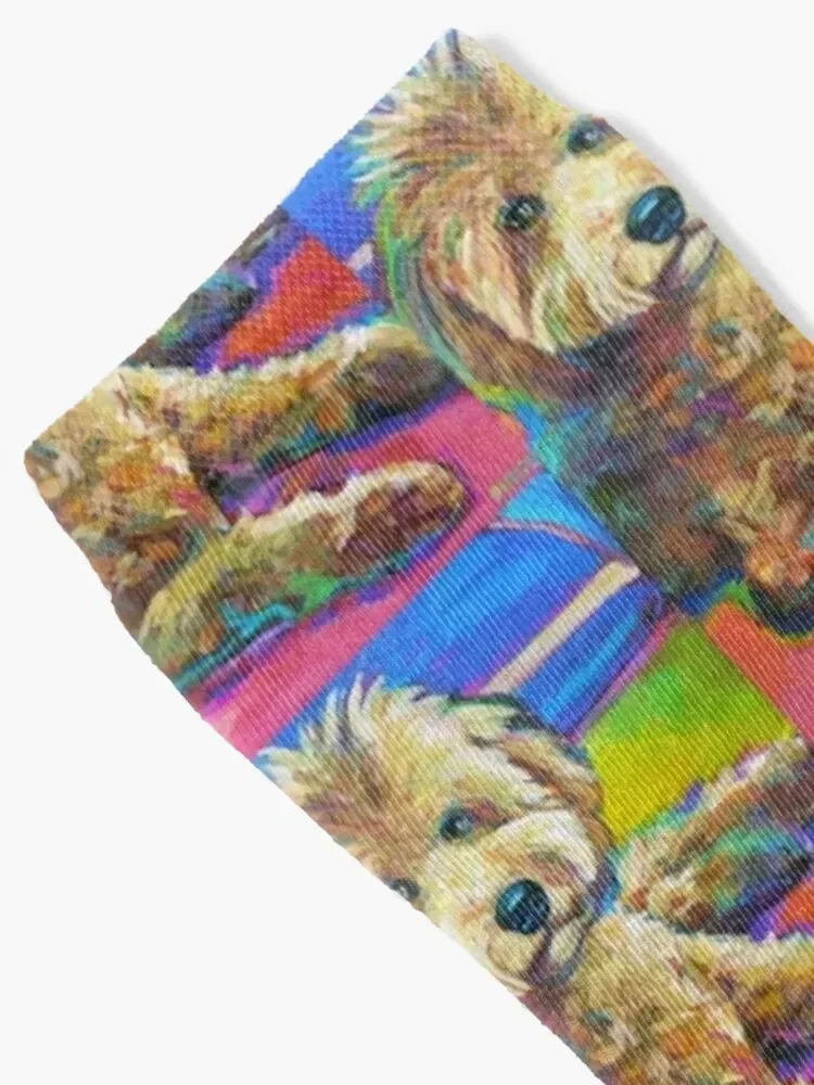 Gracie the LABRADOODLE Socks cotton shoes warm winter Boy Socks Women's