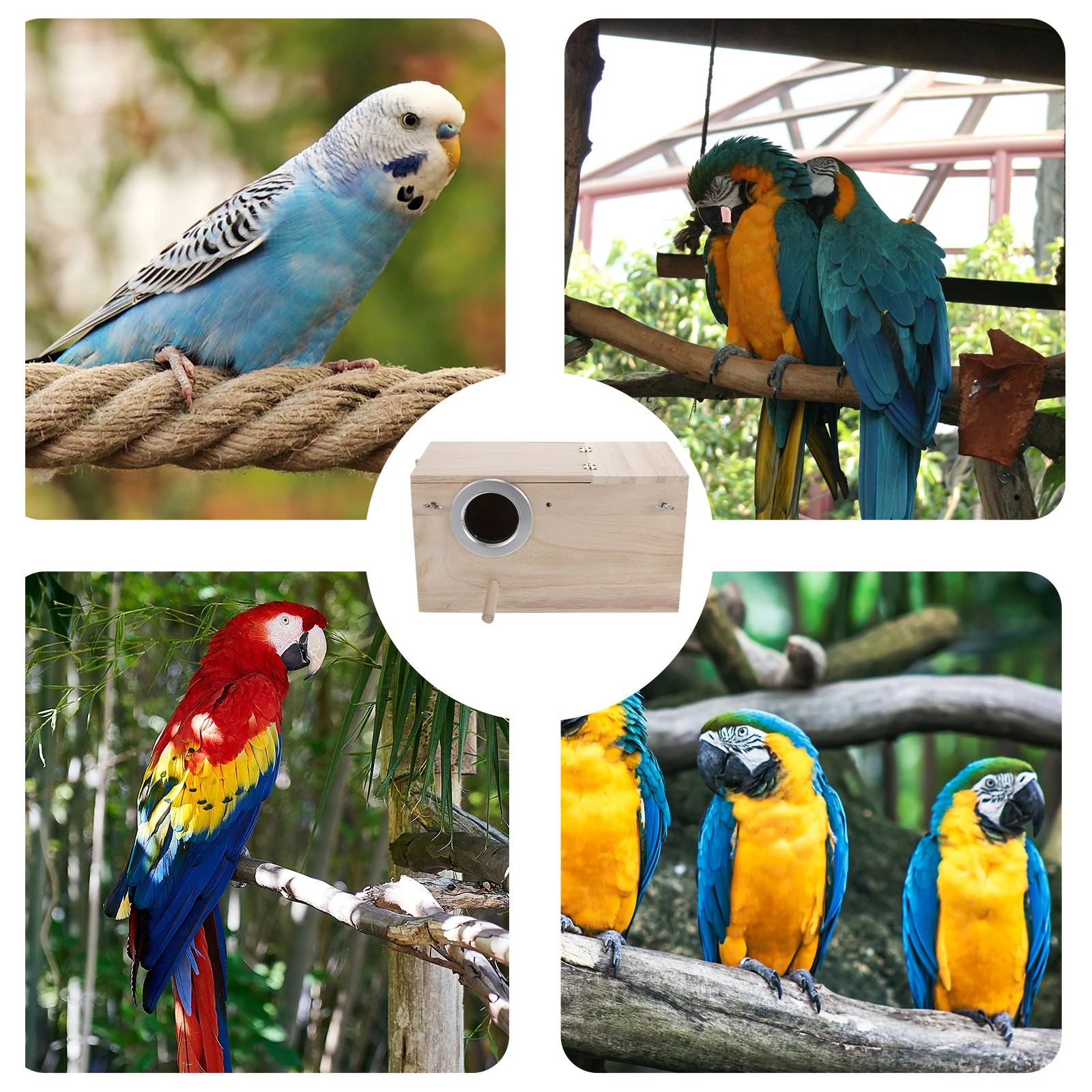 

Large Wooden Nest Box For Songbirds Outdoor Windproof Rainproof Predator Protected Left Opening Extra Wide Entrance Nesting