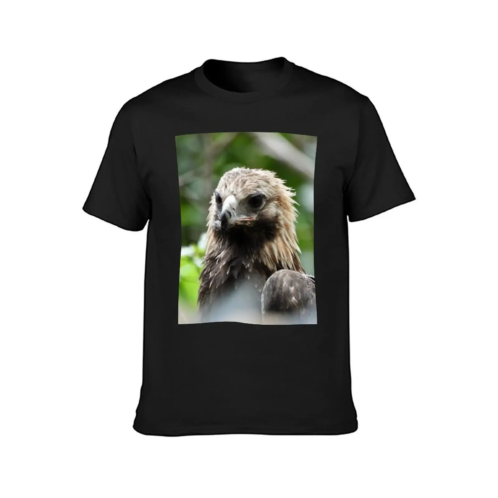 Wedge-tail Eagle Majestic bird of prey T-Shirt sublime summer tops customs design your own T-shirt men