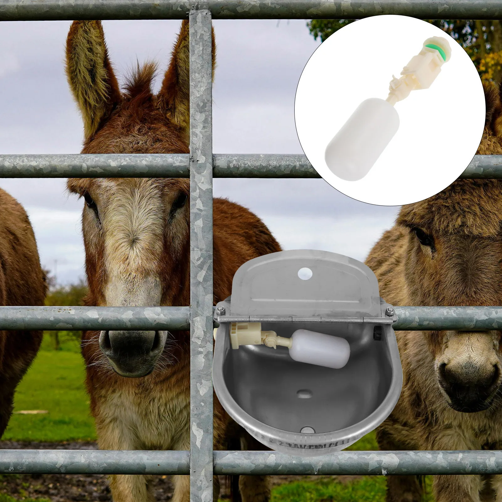 

Automatic Float Valve Plastic Adjustable Water Float Valve for Farm Livestock Cattle Horse Sheep Waterer Water Level Controller