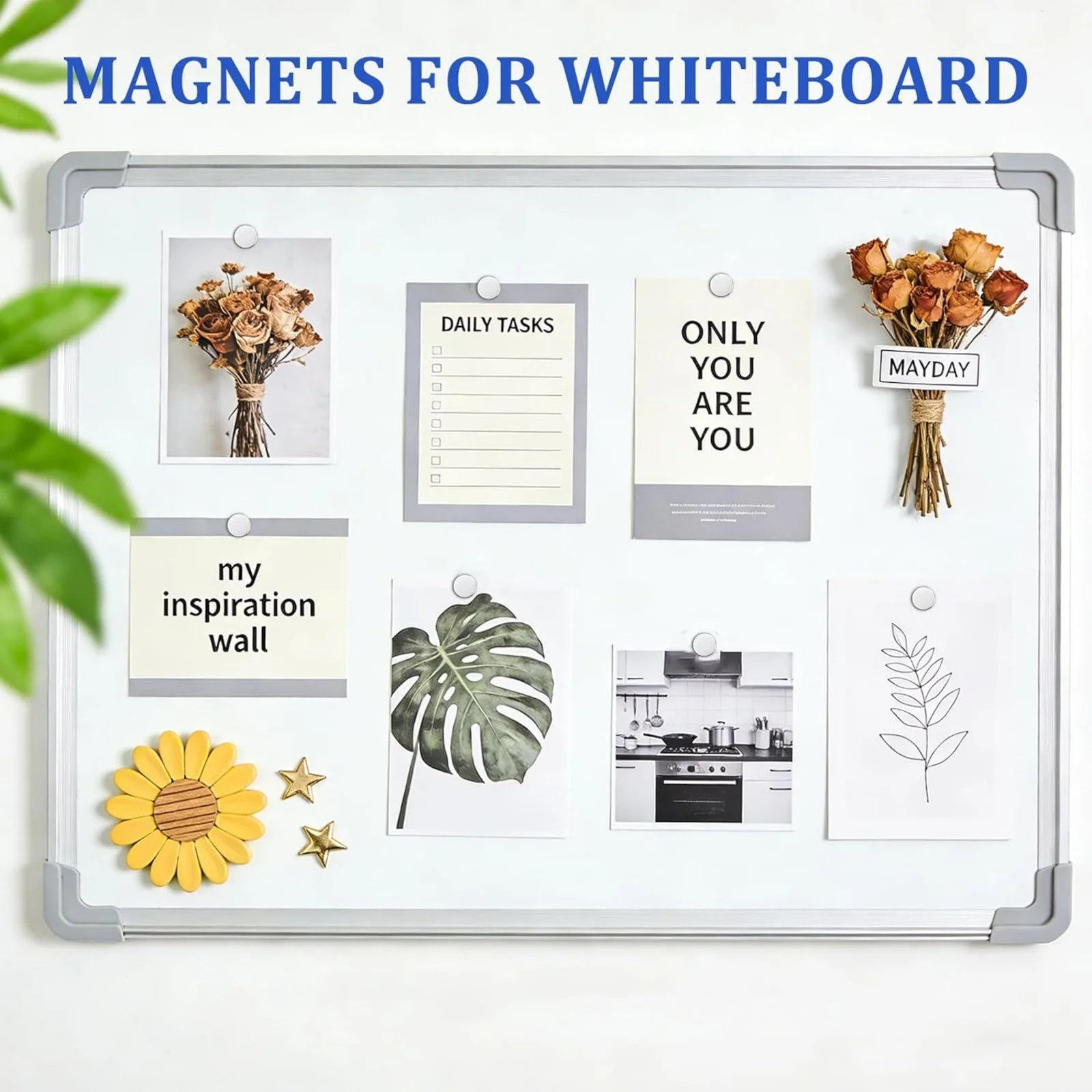 8x3mm Round Refrigerator Magnets, Small Fridge Magnets, Office Magnets, Whiteboard Magnets, Durable Mini Magnets,  Kitchen image 4