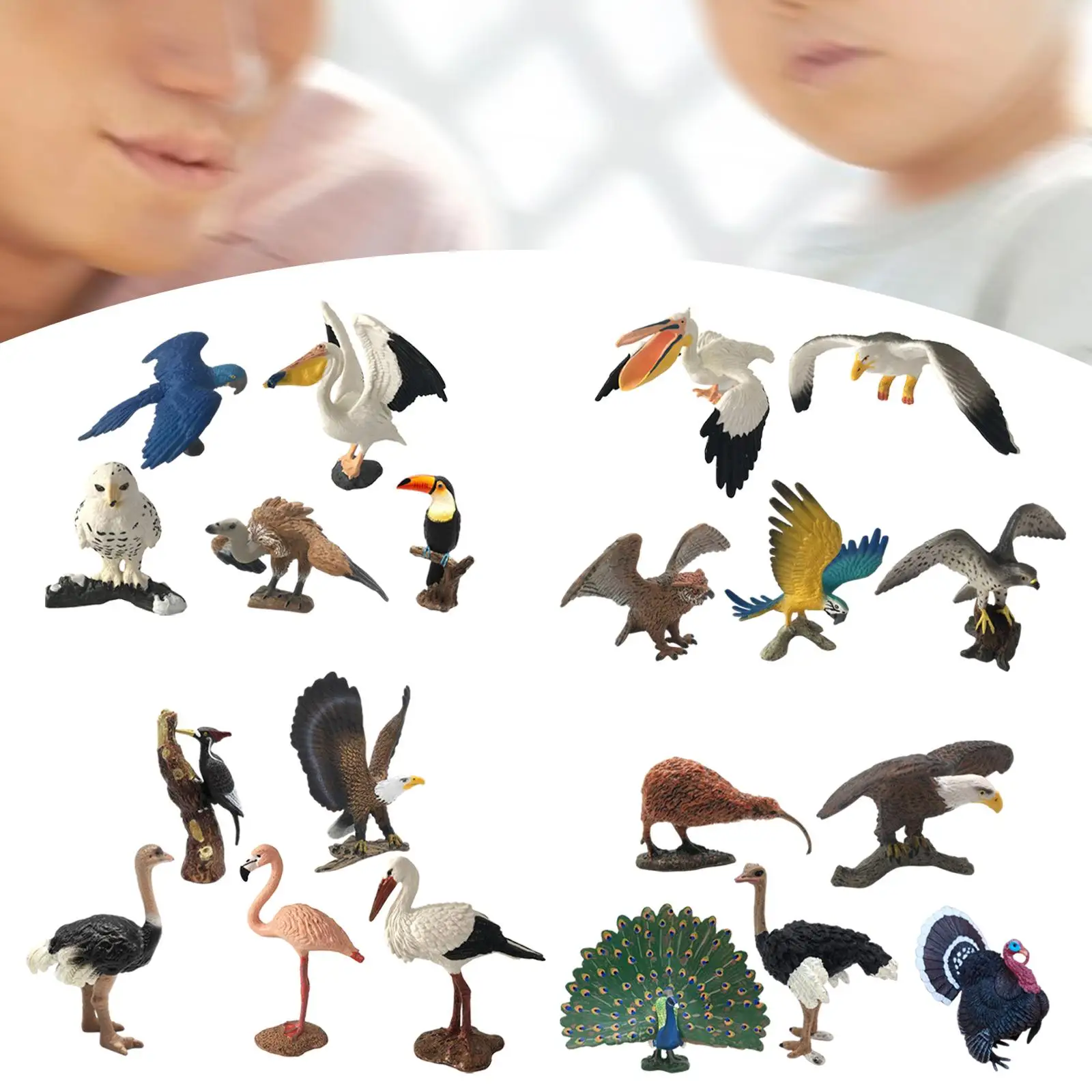 Mini figurine d'oiseau d'Auckland pour enfants, ornement modèle réaliste, jouet de jeu d'anniversaire, 5 pièces