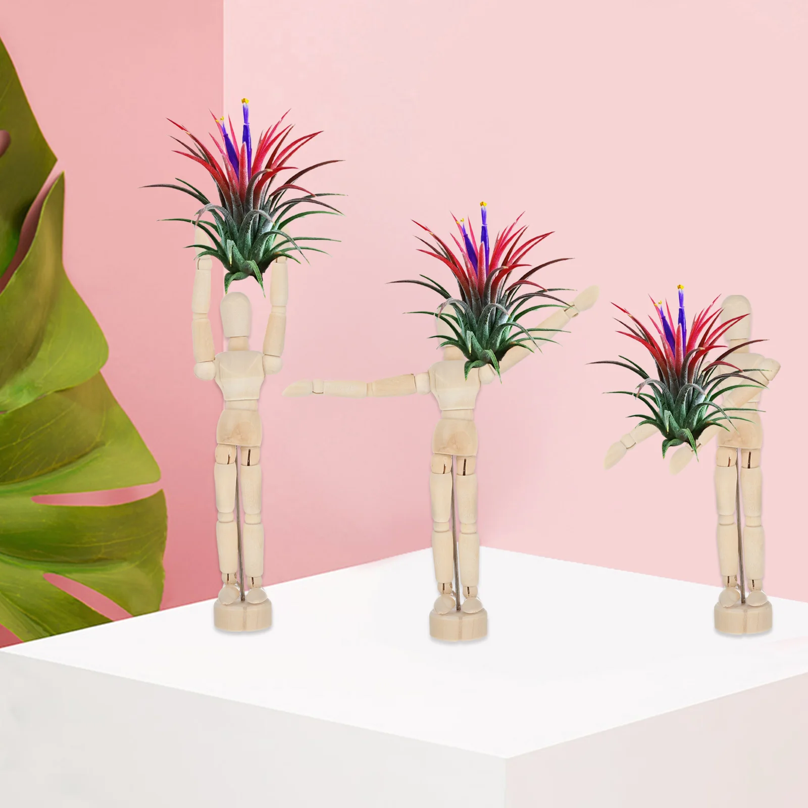 

Air Pineapple Stand Tall Decorative Plant Holders Indoor Plants Fern Display Office Desk Decoration Container