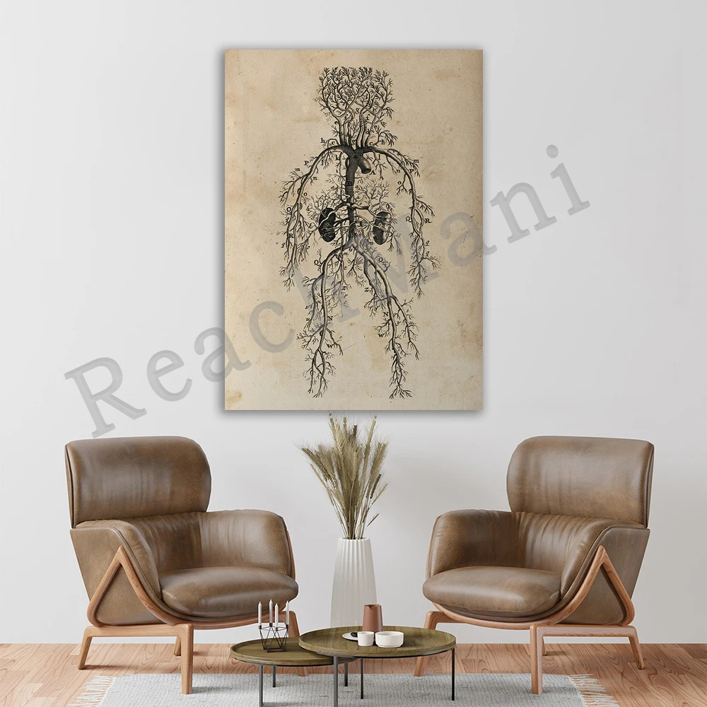 Cardiovascular system vintage poster, circulatory system, human anatomy, vintage medical art, clinic wall art, cardiologist gift