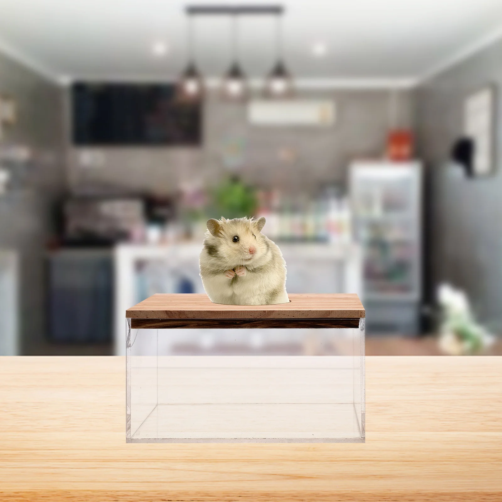 

Household Hamster Bathtub Transparent Small Pet Bathroom Sand Bath Box Daily Hamster Accessory Sand Bath Box Wear- Bathtub