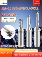 WC Small Diameter Drill C20-2D 3D 4D 5D 10 10.5 11 11.5 12 12.5 13 13.5 U Drill Bit Violent Drill CNC Tools For WC02 Inserts
