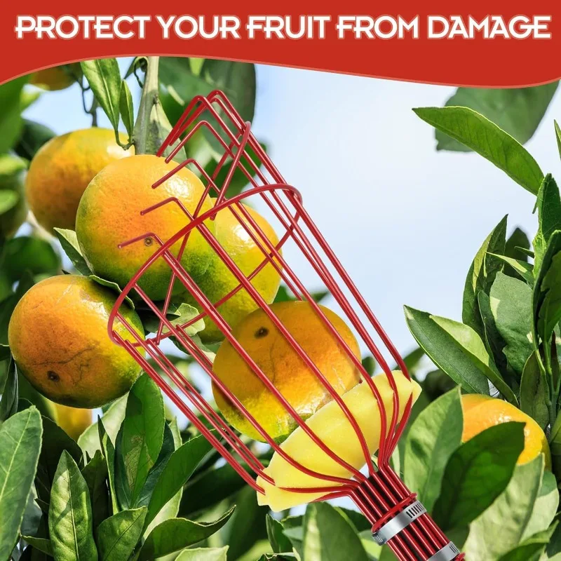 Imagem -03 - Fruit Picker Ferramentas Manuais de Jardim Fruit Picking High Tree Hardware Cesta Profunda Conveniente Apple Peach Aço Inoxidável Ajustável