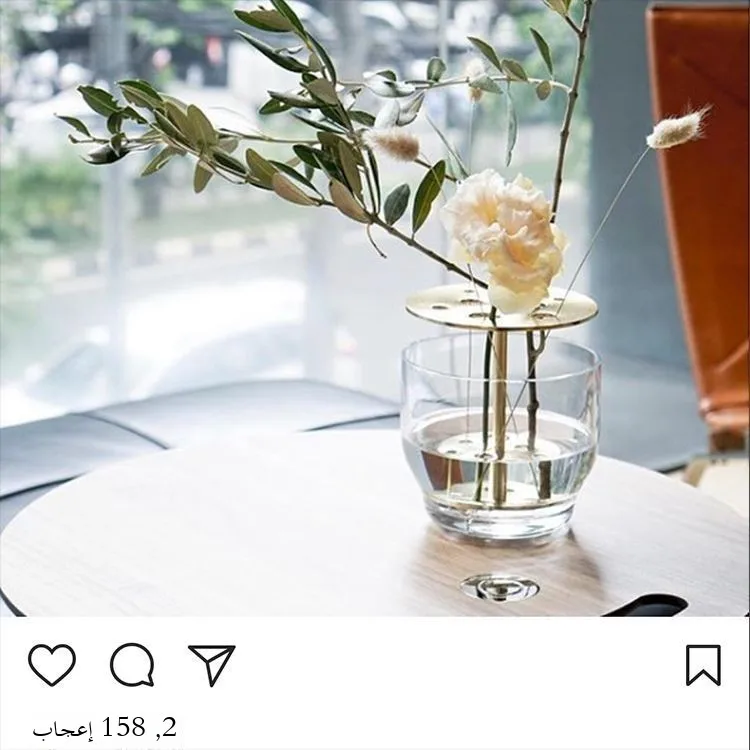 

Modern mat Brass Plated Flower Vase Creative Home Decor Hydroponic Test Tube Nordic Fre Flowers Villa Accommodation