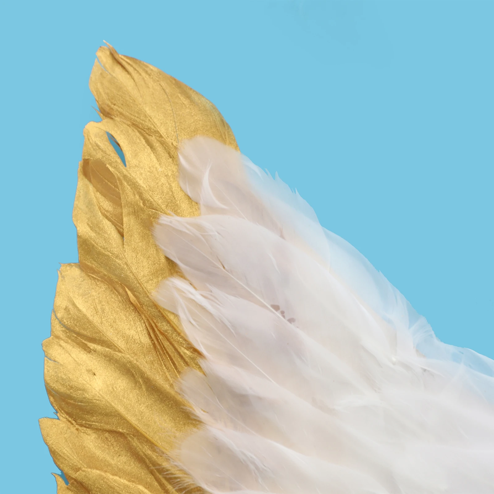 1pc asas de anjo para mulheres adultos meninas contraste cor asas de fadas cosplay traje para festa de natal de halloween acessório