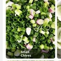 Multifunctional Vegetable Cutting Machine Canteen Commercial Cutter Leek Onion Automatic Slicer Stainless Steel