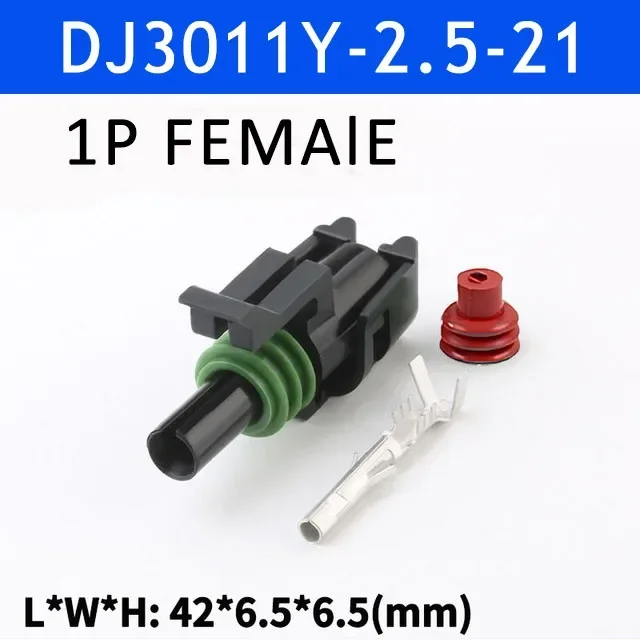 1P Female
