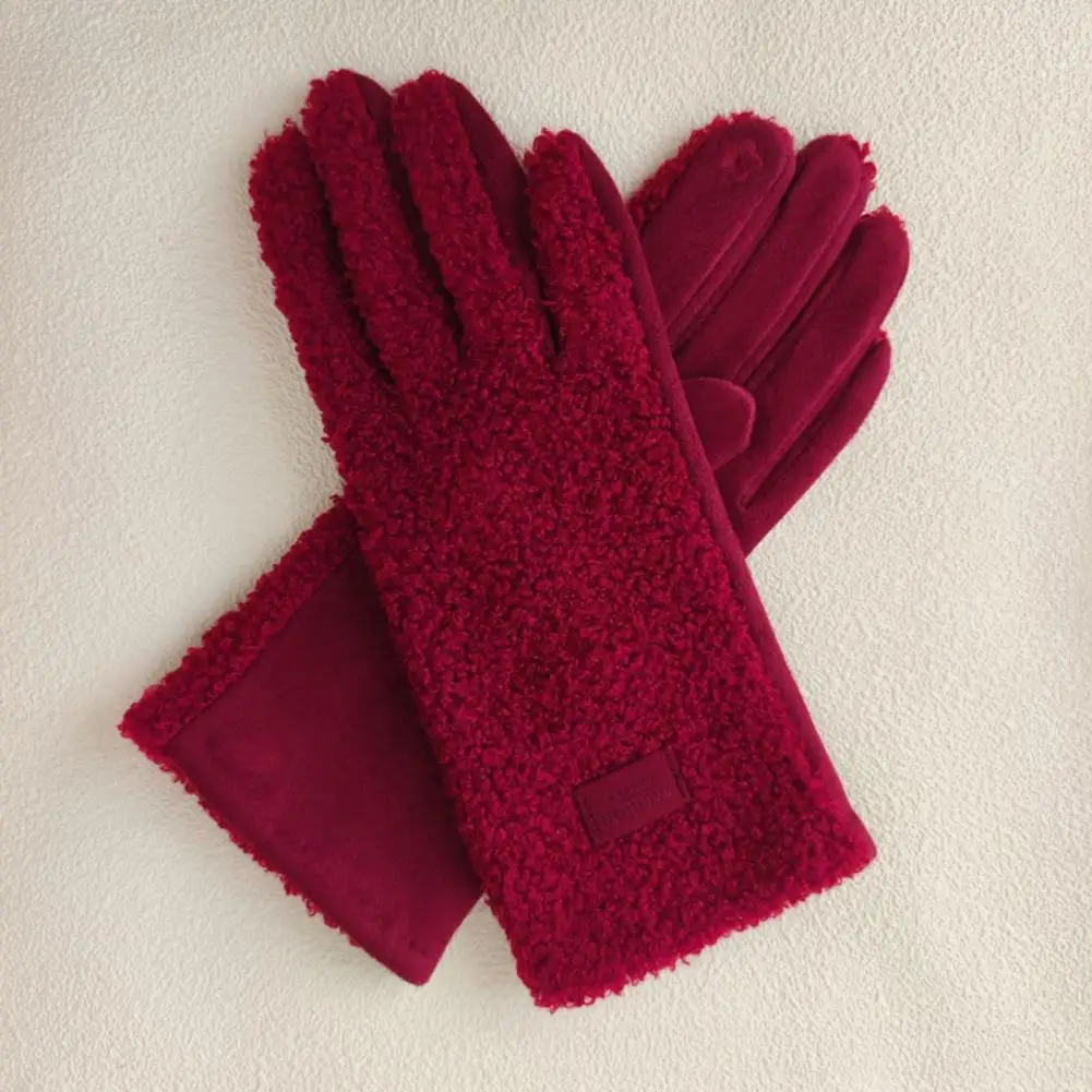 Solid Color Gloves Women’s Winter Suede Gloves with Touch Screen Plush Lined Windproof Driving Gloves Warm Fuzzy Solid Color