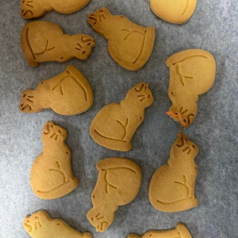 Cartoon Cute Cat Cookie Cutter 3D Animal Cookies Fondant Mold Cake Decorating Sea Otter Kitchen DIY Baking Molds