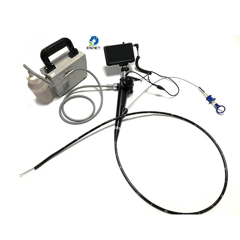 Veterinary Equipment Flexible Video Endoscope for Nasopharynx Flexible Endoscope Cleaning