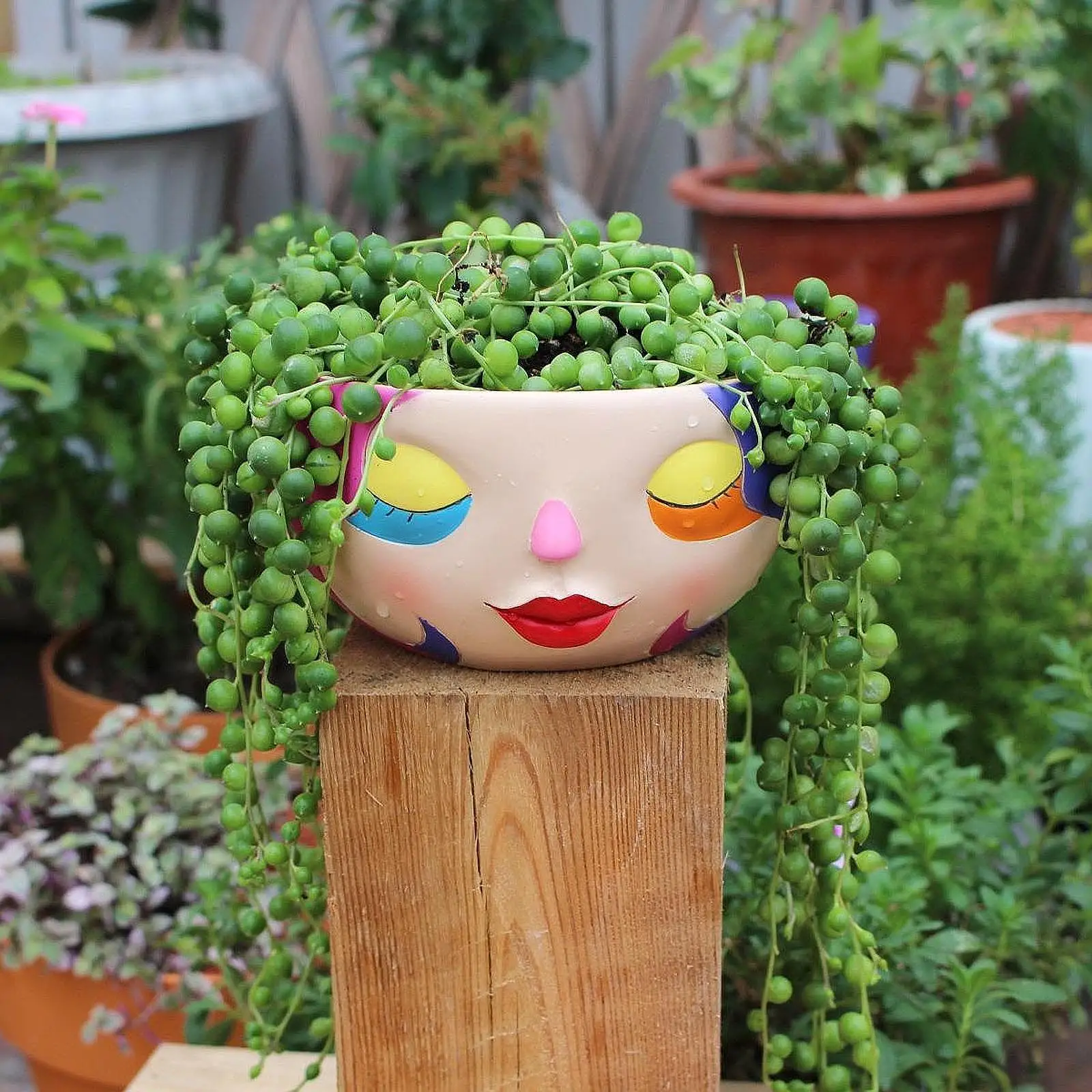 Unique Face Flower Pot Resin Ornament Artwork Collection Decorative Flowerpot for Tea Room Balcony Farmhouse Indoor Outdoor