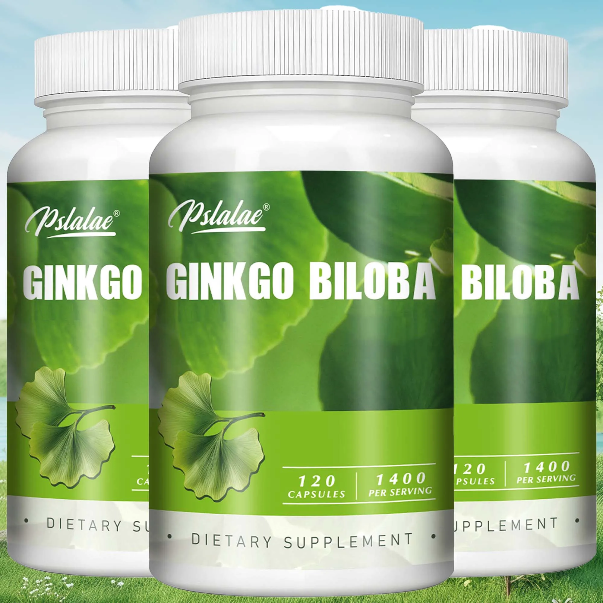 Ginkgo Biloba - Improve Brain, Memory, Promote Blood Circulation, Enhance Cognitive Function, Increase Energy - 120 Capsules