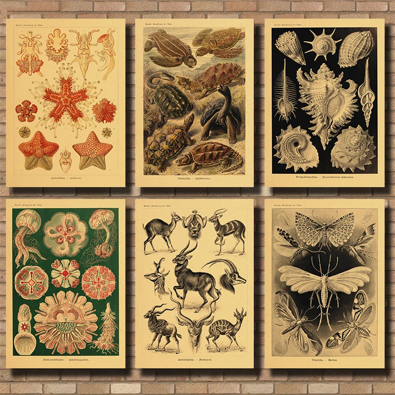 Retro Botanical Prints Posters Kraft Paper Plant Flower Illustration Vintage Home Study Room Art Wall Decor Aesthetic Painting
