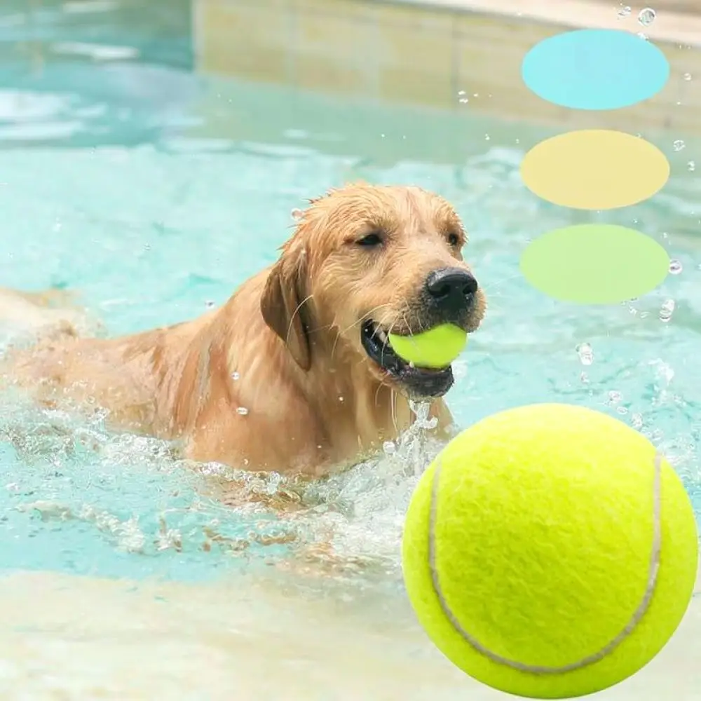 Pet Training Ball Toy Squeaky Tennis For Dogs Durable Chew Resistant Interactive Play For Golden Retriever Medium Large Dogs