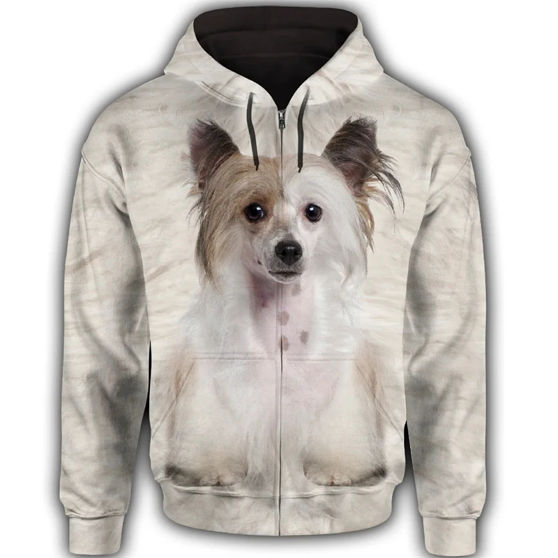 3d Pet Dogs Graphic Printed Zip Hoodie Men Women Kids Sweatshirt Fashion Casual Rottweiler Pattern Y2k Hoodies Christmas Coat