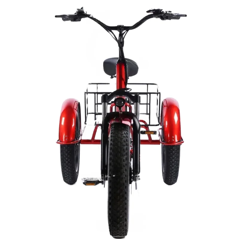 Tricycle Adults Long Range Removable Battery 48V 500W 20