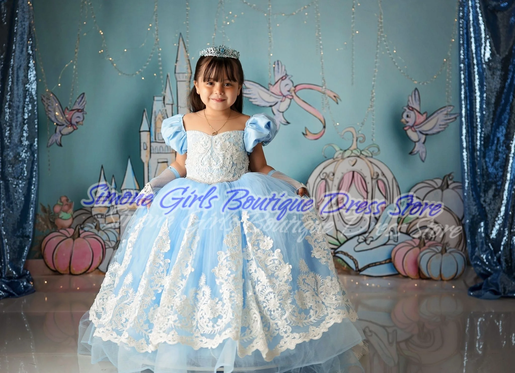 Embroidery Fluffy Puff sleeves Blue princess dress Flower Girl Dress for Birthday party Formal Receptions Dance Performances