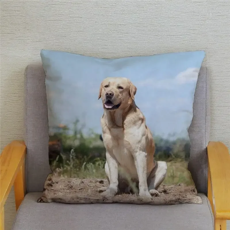 Smart Labrador Retriever Pillow Case   Home Decoration Animal   Sofa Car