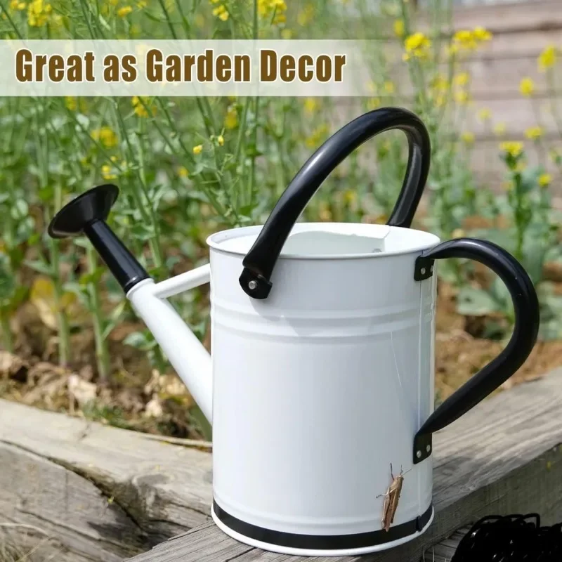 Simple Large Capacity Ferrous Water Cans Luxury Multifunctional Long Mouthed Cans Modern Creative Courtyard Garden Supplies
