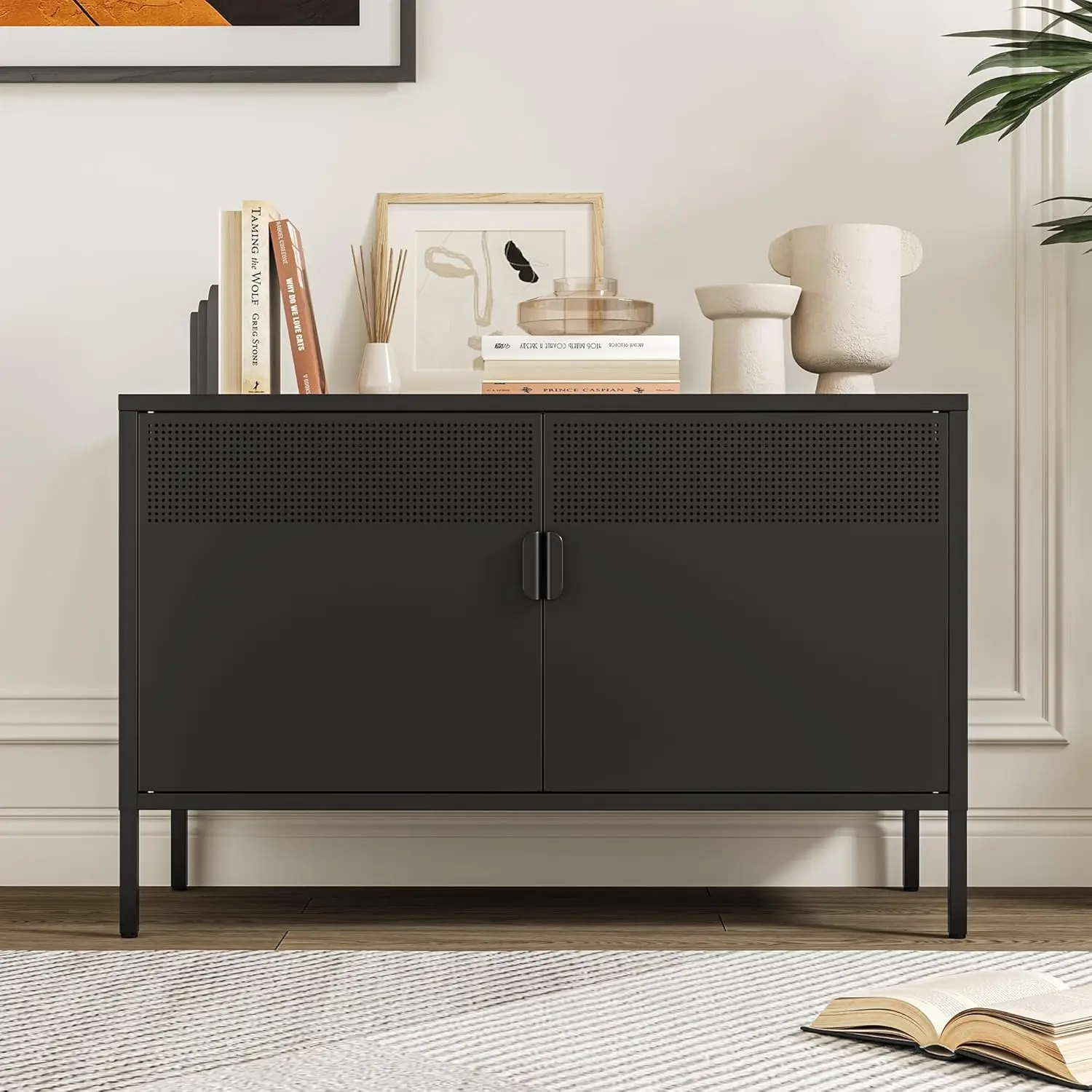 

Black Metal Storage Cabinet 2 Door Removable Shelf TV Media Stand Home Office Entryway, Customized