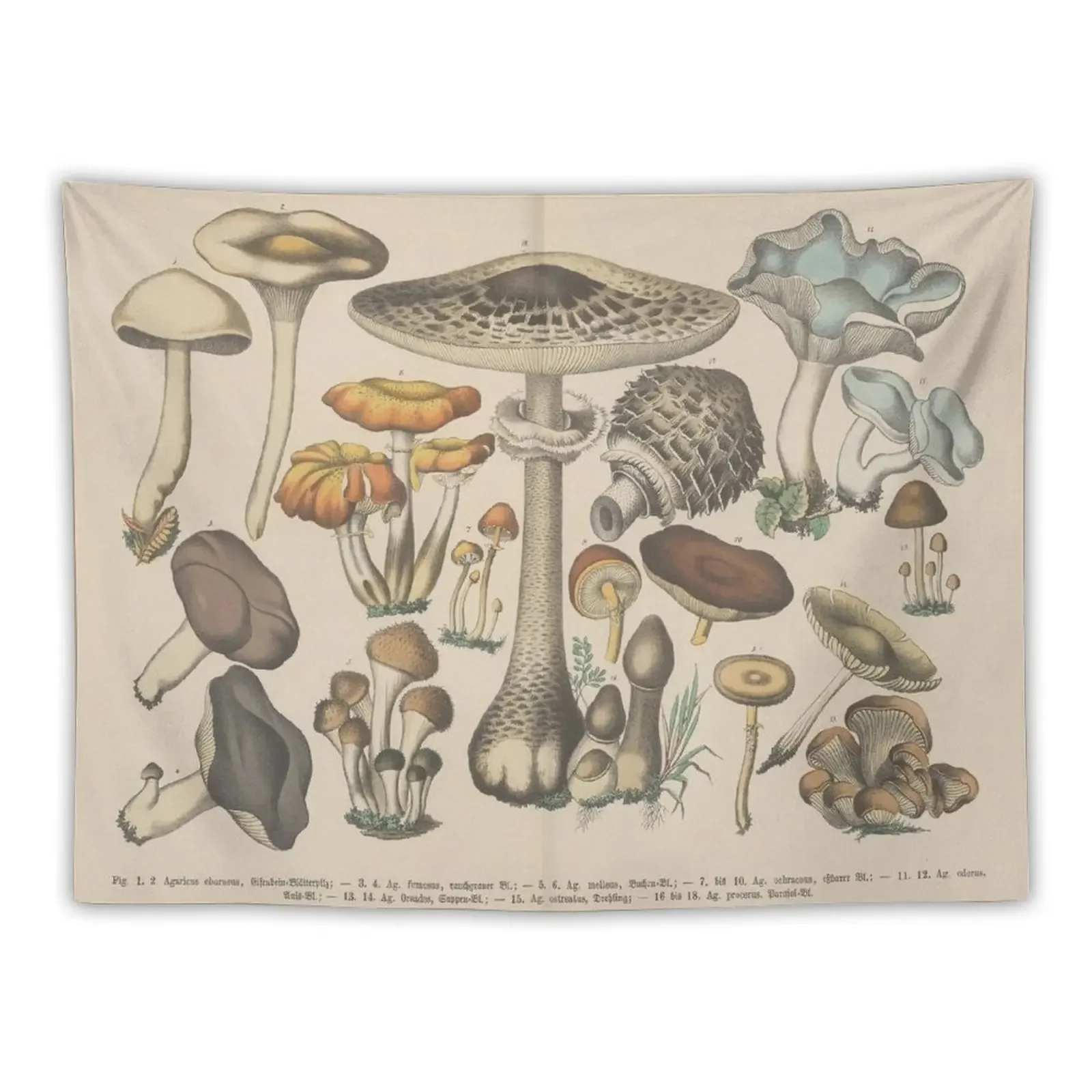 

Vintage botanical illustration Tapestry Room Decorator Mushroom Custom Wall Deco Tapestry