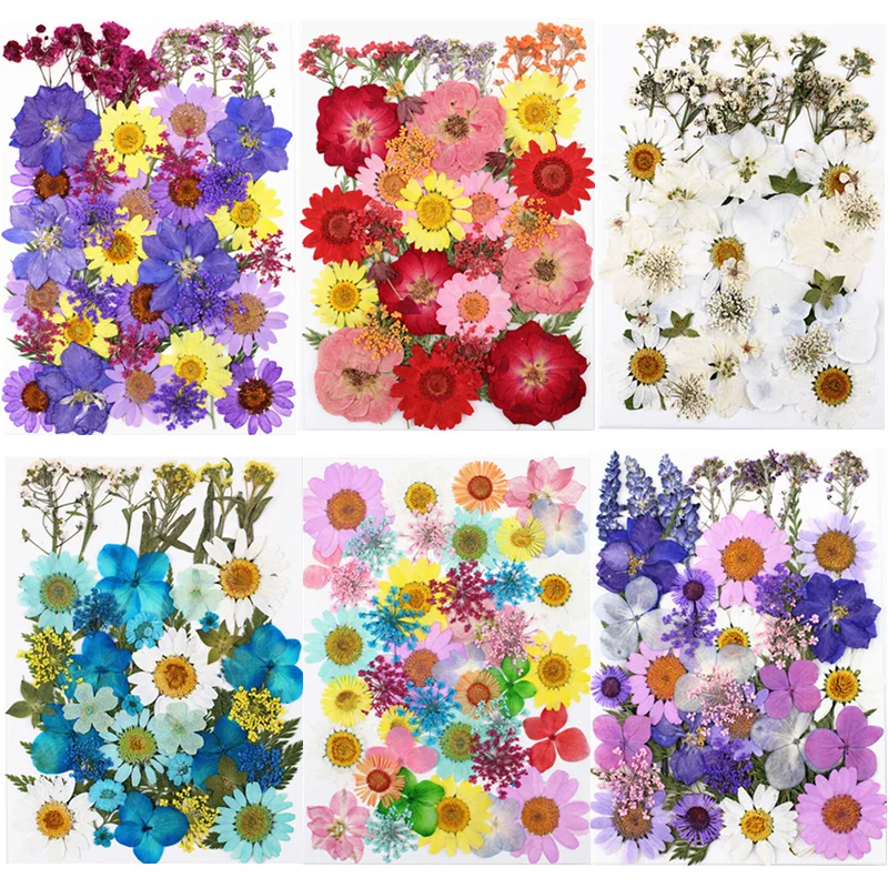 Colorful Pressed Flowers Resin Mold Fillings Dried Flowers Daisy Dry Plant for DIY Jewelry Making Crafts Nail Art Beauty Decal