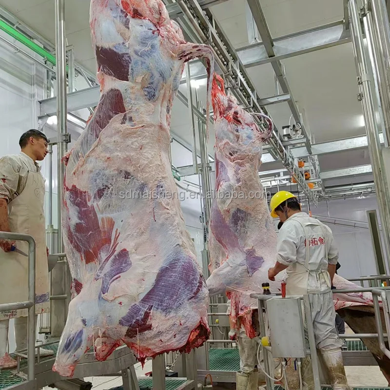 Automatic Complete Cow Slaughter Machine for Halal Slaughter Line for Meat Processing Plants Turnkey Project Core Bearing