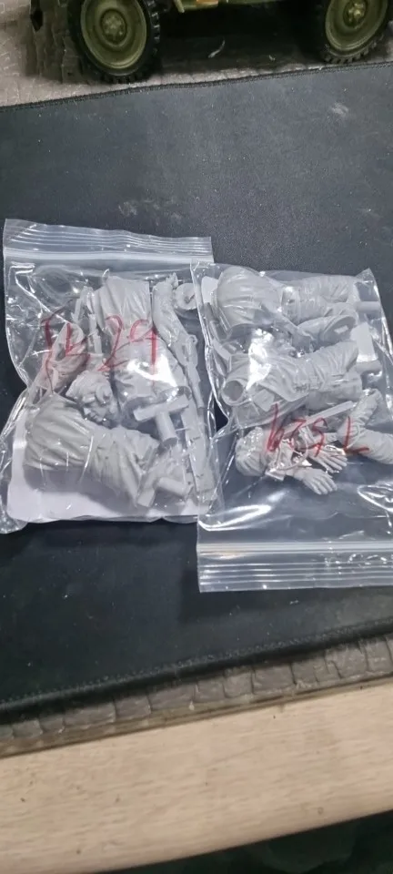 Buyer photo of this resin kit