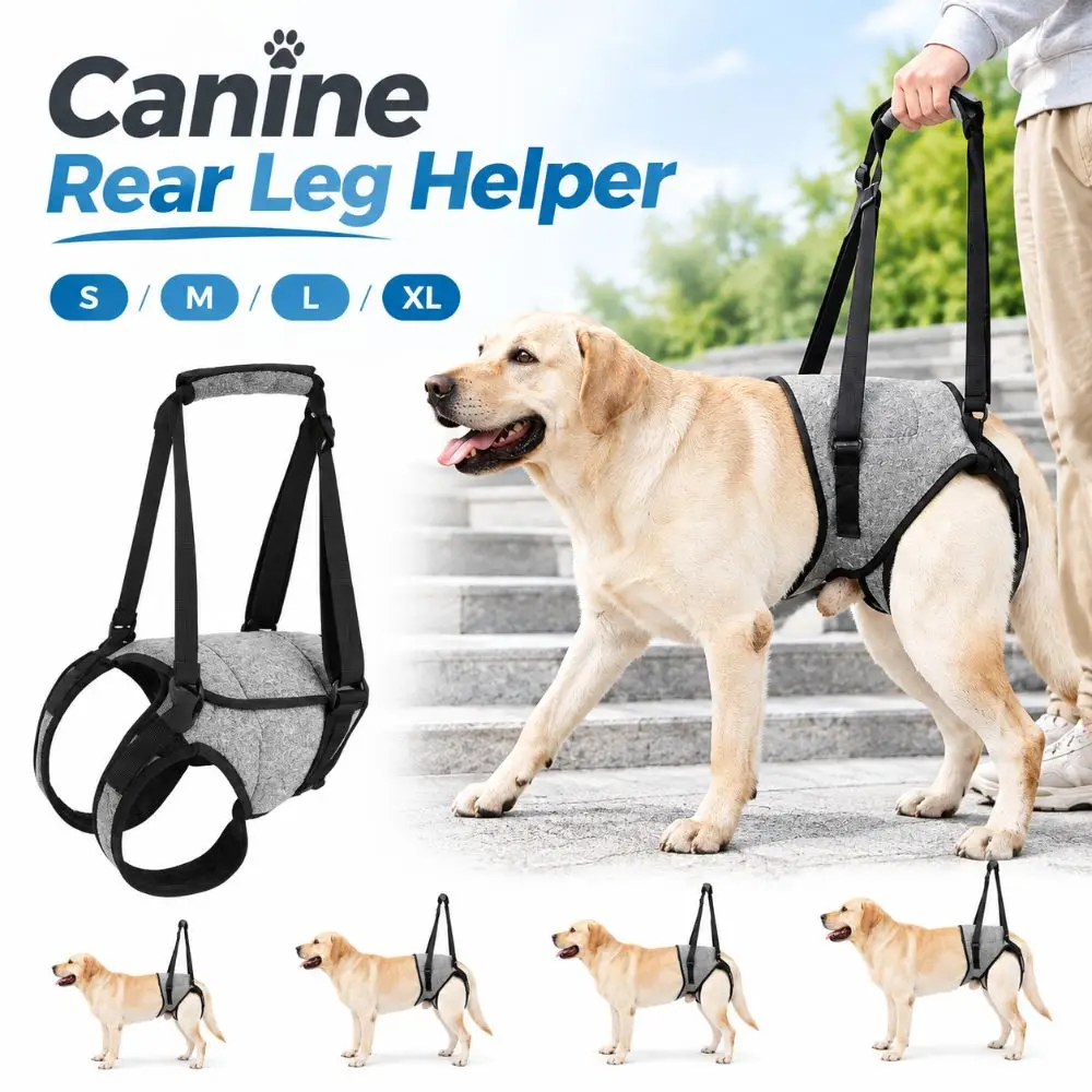 Sponge Handle Canine Rear Leg Helper Adjustable Velcro Strap Quality Fabric Dog Rear Leg Support Harness Pet Mobility Harness