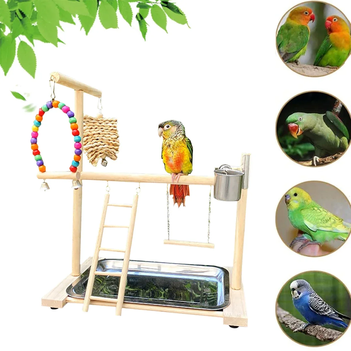 Bird Playground Perch Stand Feeding Cups Swing Climbing Ladder Parrot Playstand Exercise Playgym For Parakeet Cockatiel Lovebird