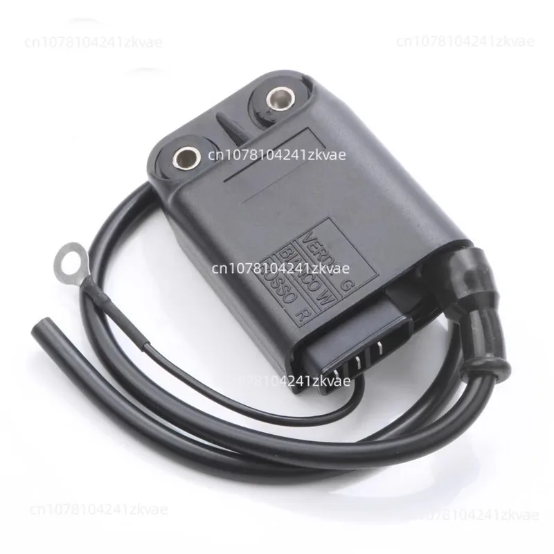 58095r 246010102 00g03310171