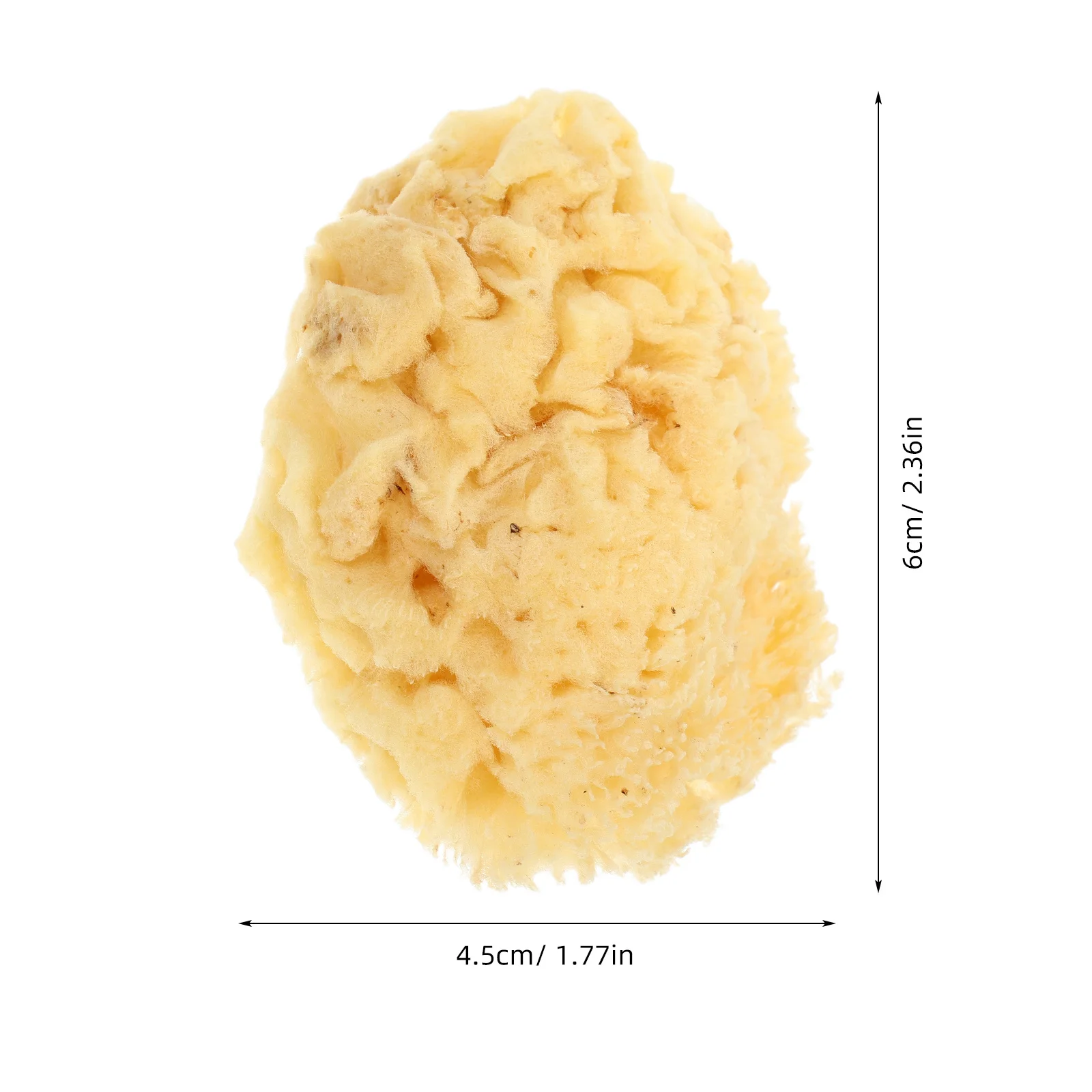 Natural Sea Sponge 2.0-2.5 Inch Soft Absorbent Painting Sponge For Watercolor Acrylic Texture Wall Art Craft Reusable