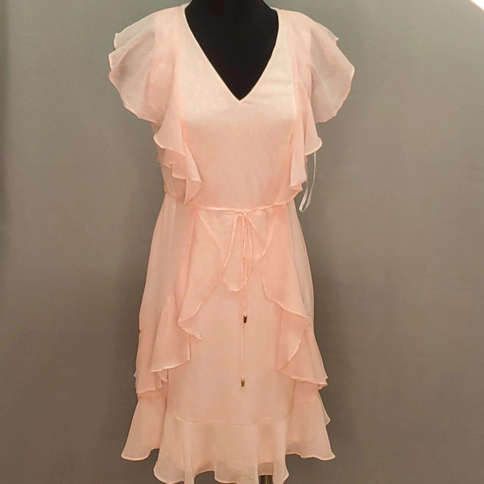 

Summer Dress Polka Dot Dust Rose Organza Dress
